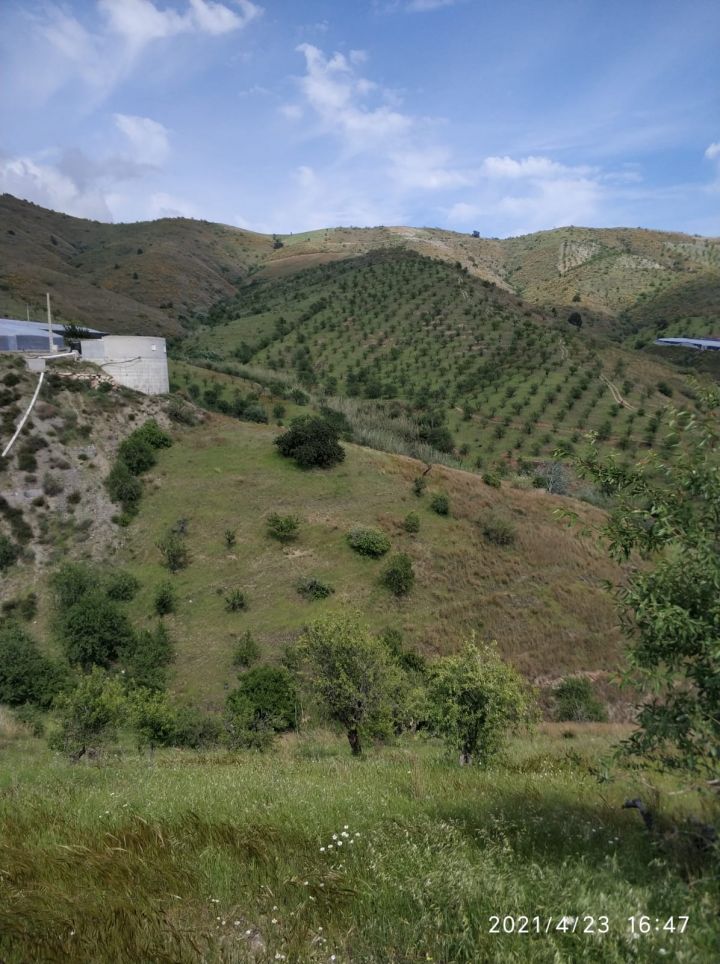 40_slide