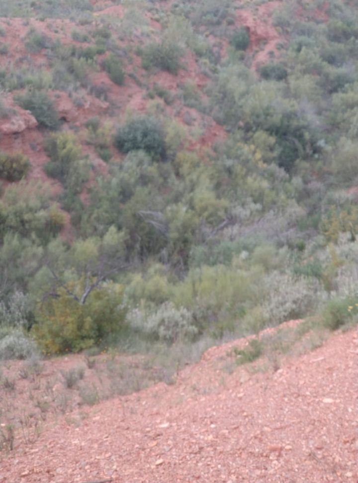 118_slide