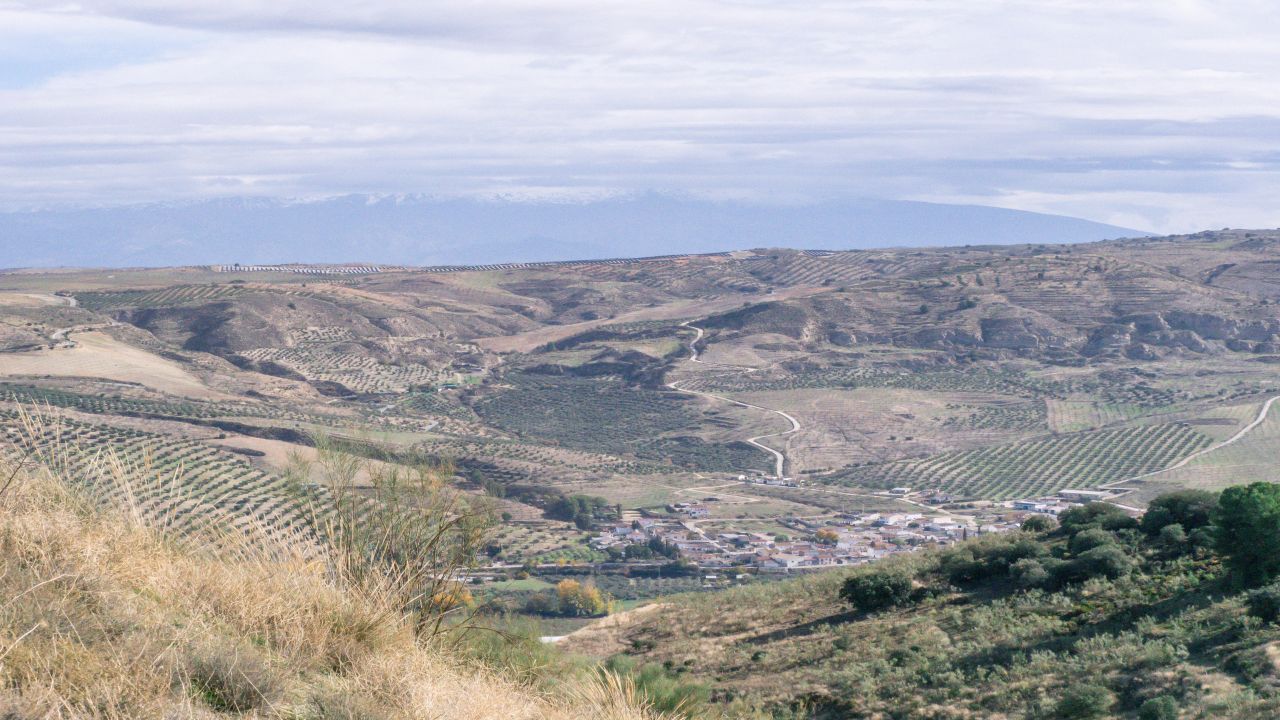 2115_slide