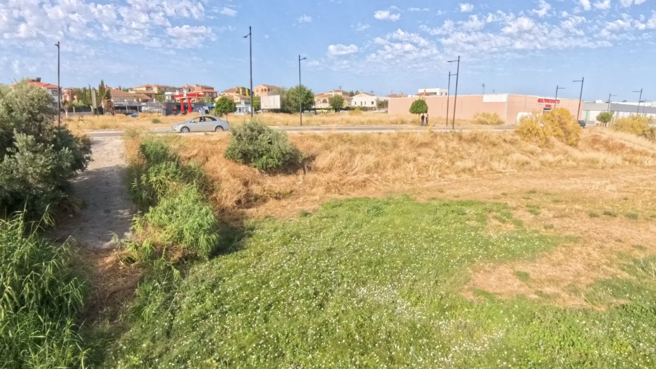 2915_slide