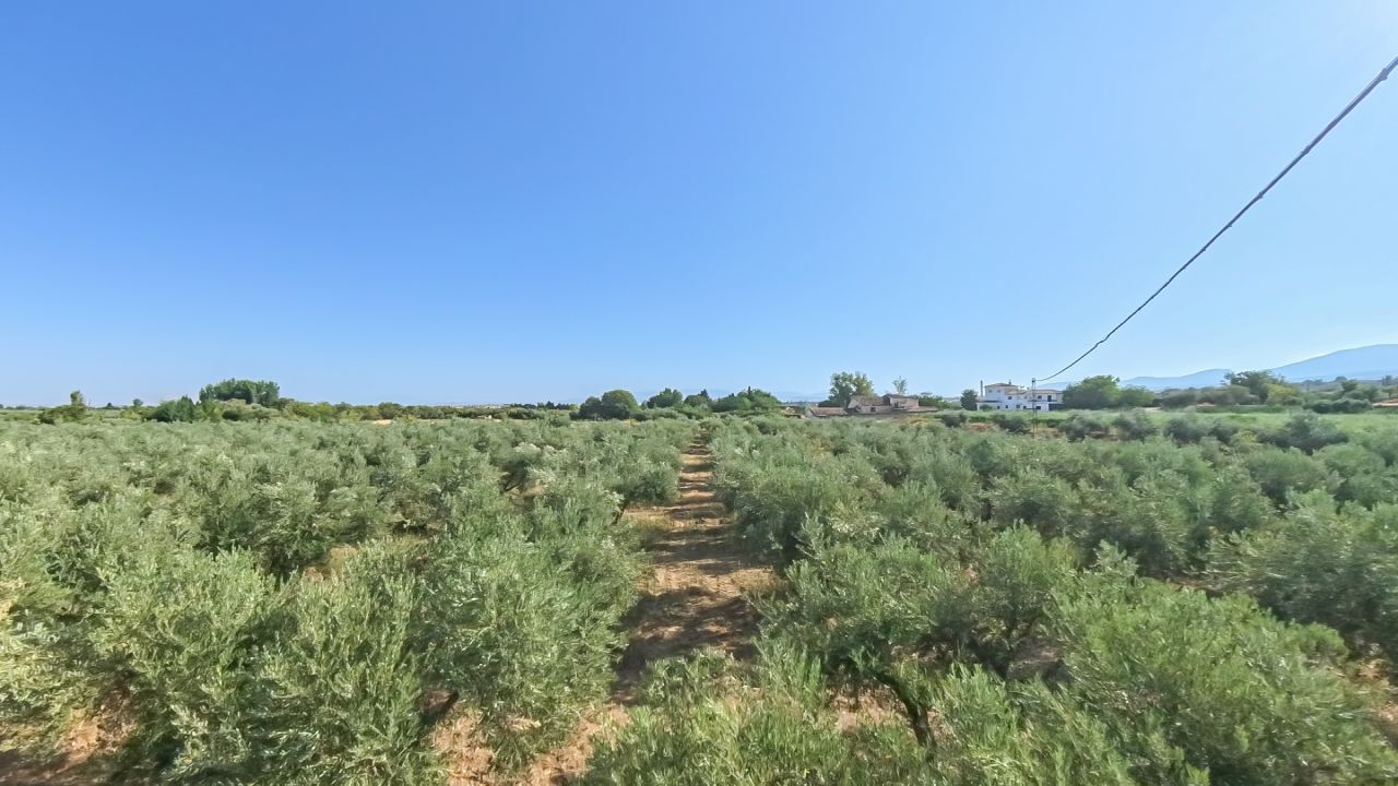 3026_slide